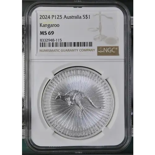 2024 P125 Kangaroo (2)