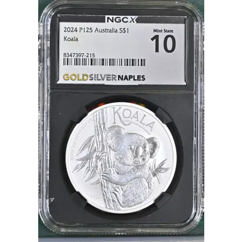 2024 P125 Koala (2)
