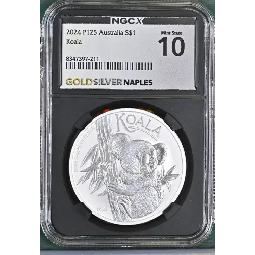 2024 P125 Koala (2)