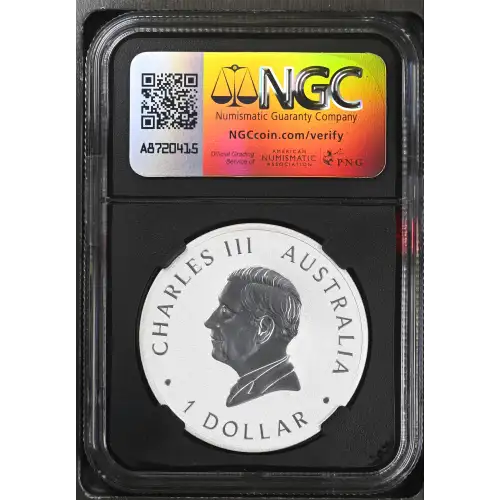 2024 P125 Koala (3)