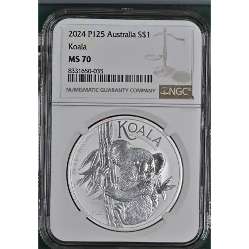 2024 P125 Koala (2)