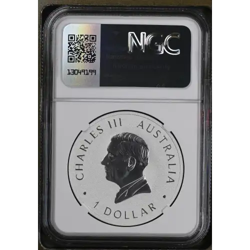 2024 P125 Koala (3)