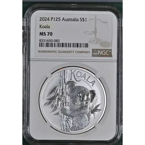 2024 P125 Koala (2)