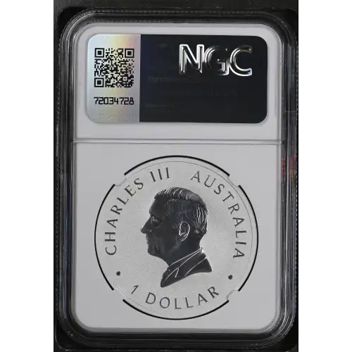 2024 P125 Koala (3)