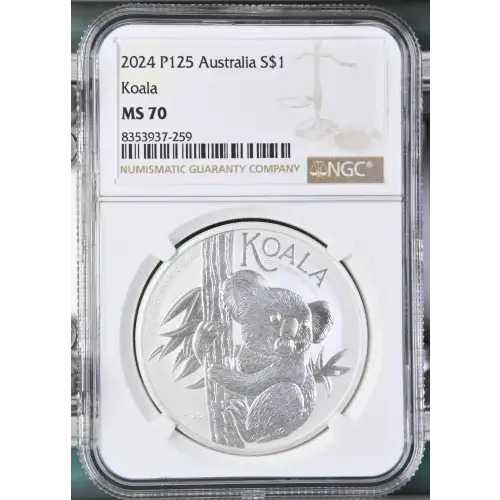 2024 P125 Koala (2)