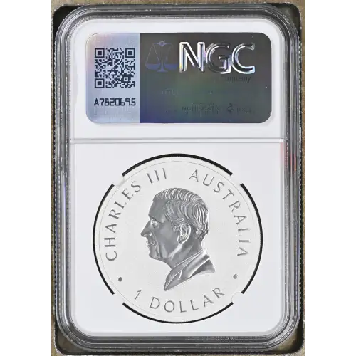 2024 P125 Koala (3)