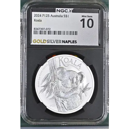 2024 P125 Koala (2)