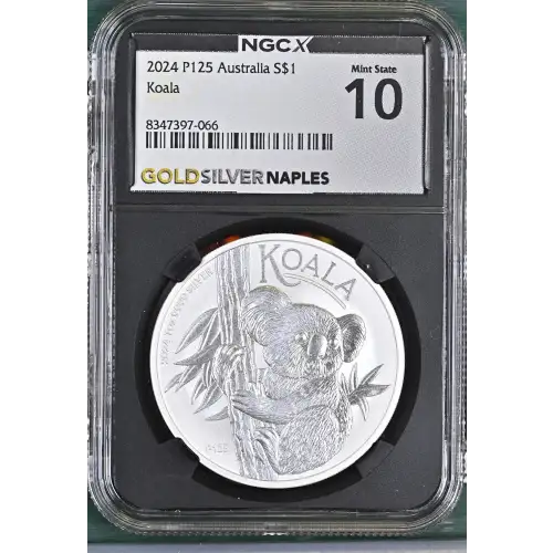 2024 P125 Koala (2)