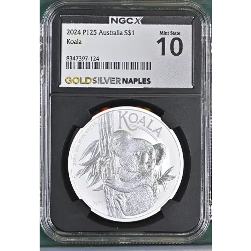 2024 P125 Koala (2)