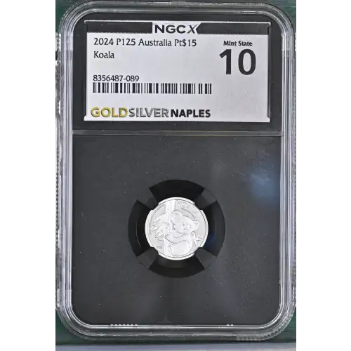 2024 P125 Koala (2)
