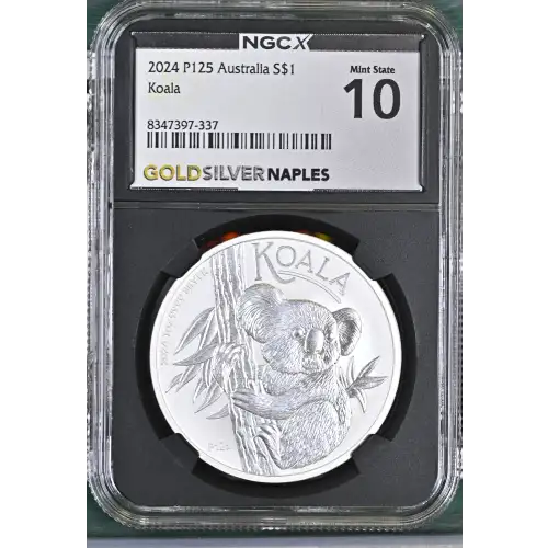 2024 P125 Koala (2)