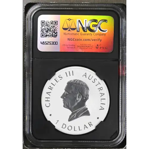 2024 P125 Koala (3)