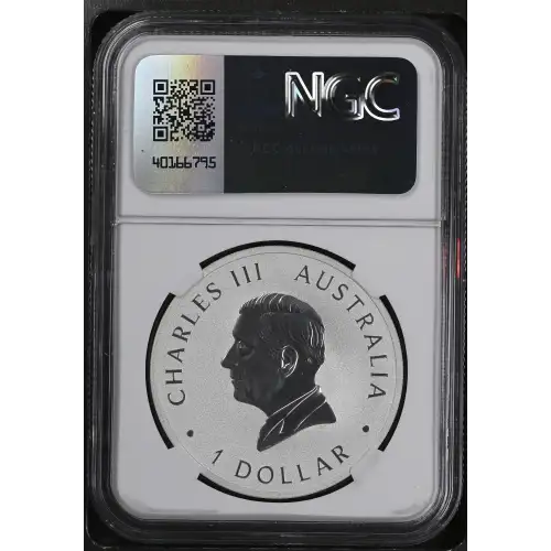 2024 P125 Koala Early Releases (3)