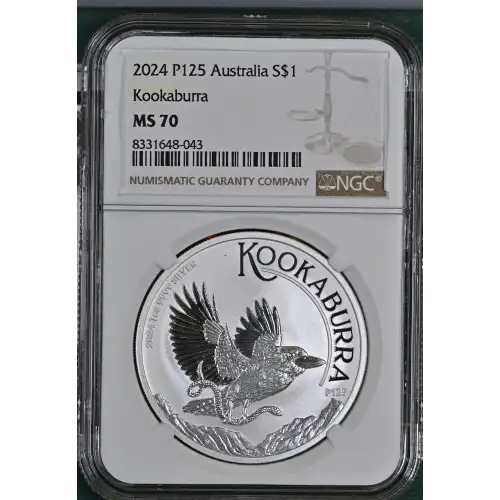 2024 P125 Kookaburra (2)