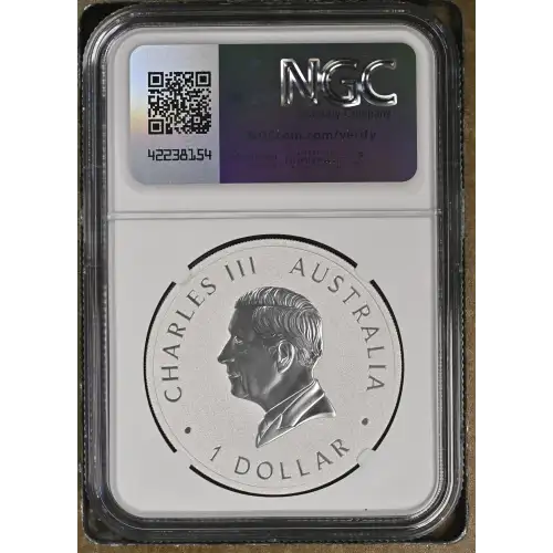 2024 P125 Wedge-Tailed Eagle 10th Anniv. - FDI (3)