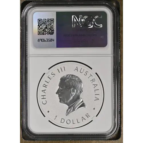 2024 P125 Wedge-Tailed Eagle 10th Anniv. - FDI (3)
