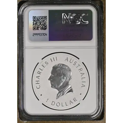 2024 P125 Wedge-Tailed Eagle 10th Anniv. - FDI (3)