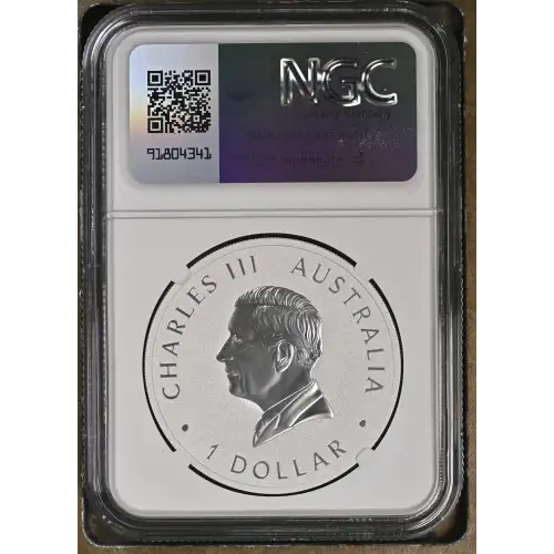 2024 P125 Wedge-Tailed Eagle 10th Anniv. - FDI (3)