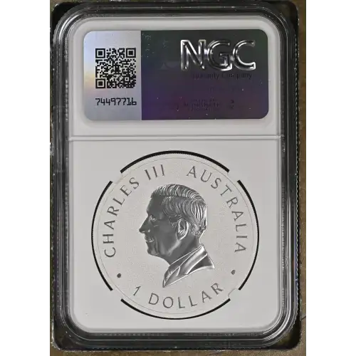 2024 P125 Wedge-Tailed Eagle 10th Anniv. - FDI (3)