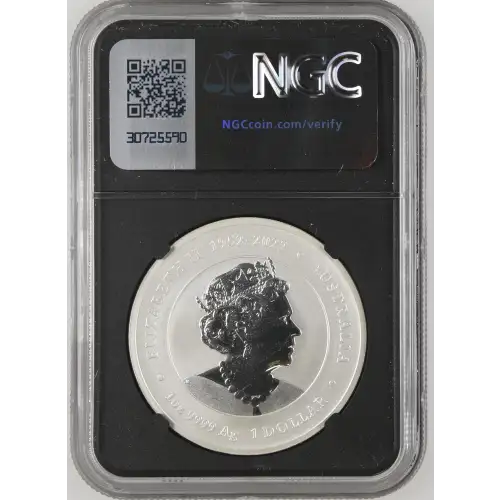 2024 P125 Year of the Dragon-Yellow Facing (3)