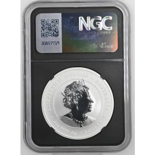 2024 P125 Year of the Dragon-Yellow Facing (3)