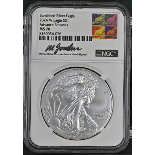 2024 W Advance Releases Burnished Silver Eagle (2)