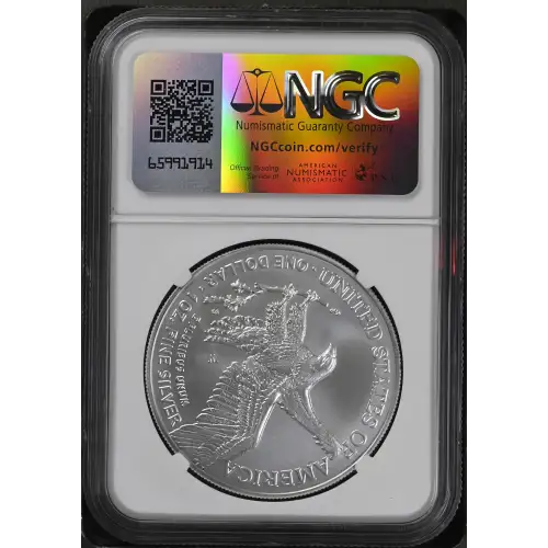 2024 W Advance Releases Burnished Silver Eagle (3)