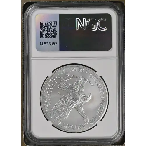 2024 W Advance Releases Burnished Silver Eagle (3)