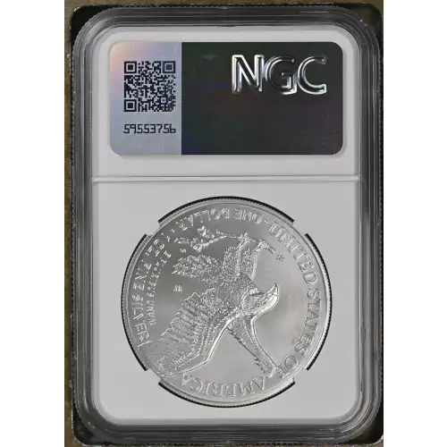 2024 W Burnished Silver Eagle (3)
