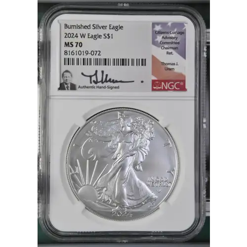 2024 W Burnished Silver Eagle (2)