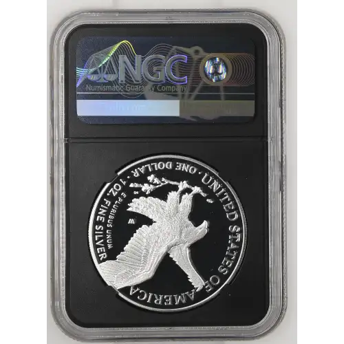 2024 W  ULTRA CAMEO (3)