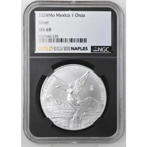 2024Mo Silver (2)