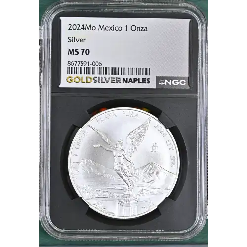 2024Mo Silver (2)