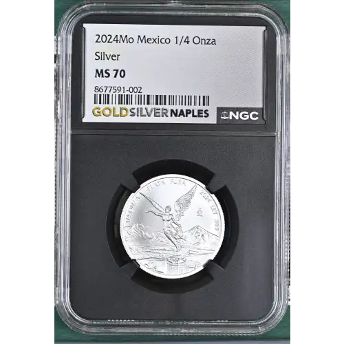 2024Mo Silver (2)
