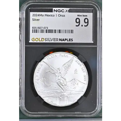 2024Mo Silver (2)
