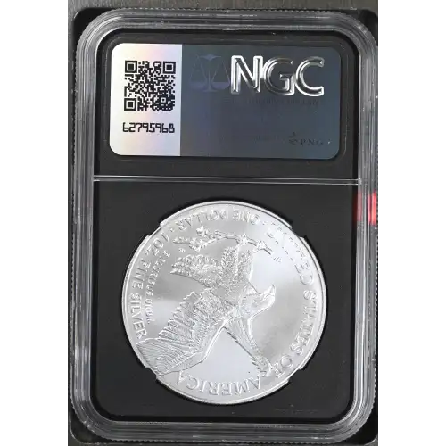 2024(P) Star Privy (3)