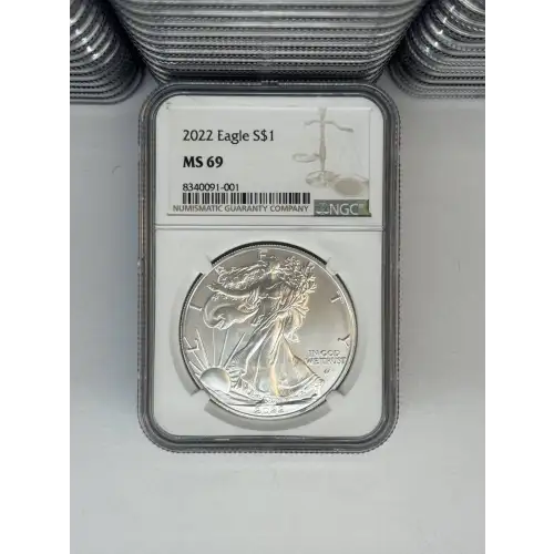2025 1 oz Silver Eagle  NGC MS69 (LABEL MAY VARY)  (4)