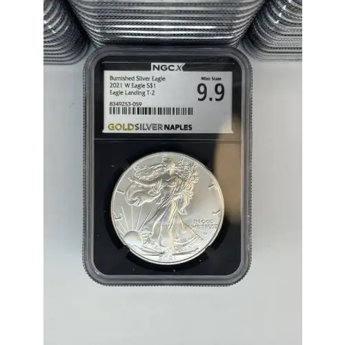 2025 1 oz Silver Eagle  NGC MS69 (LABEL MAY VARY)