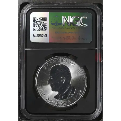 2025 Maple Leaf (3)