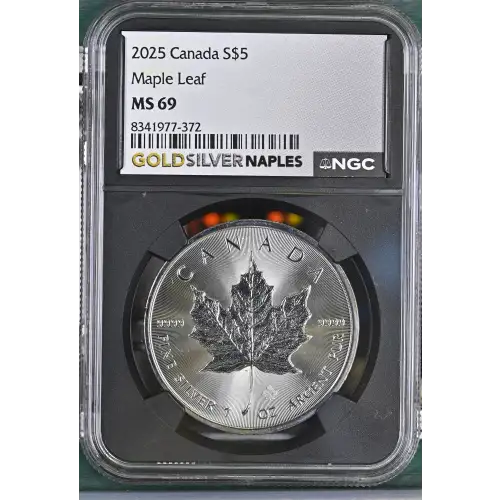 2025 Maple Leaf (2)