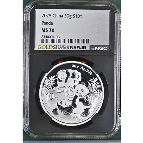 2025 Panda (2)