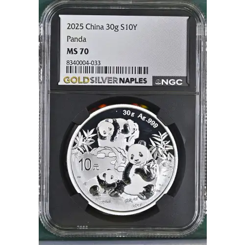 2025 Panda (2)