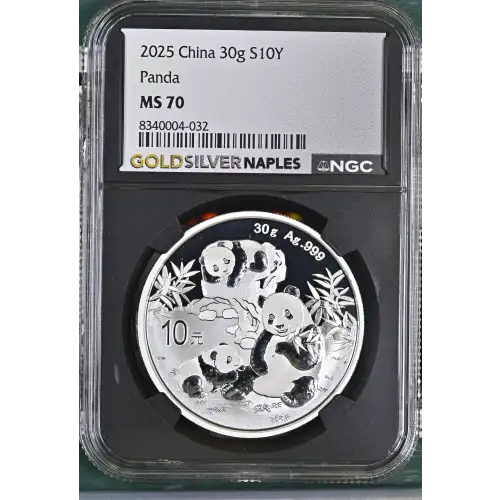 2025 Panda (2)
