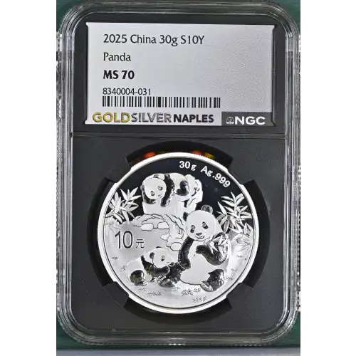 2025 Panda (2)