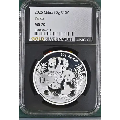 2025 Panda (2)