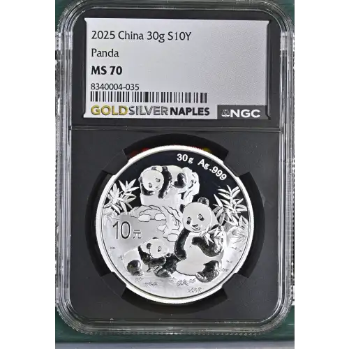 2025 Panda (2)