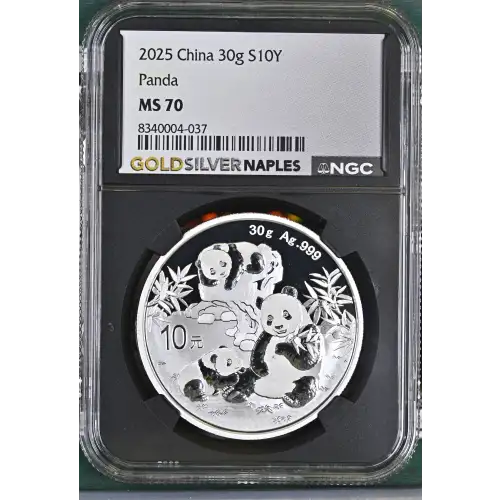 2025 Panda (2)