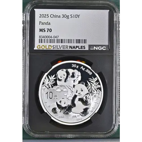 2025 Panda (2)