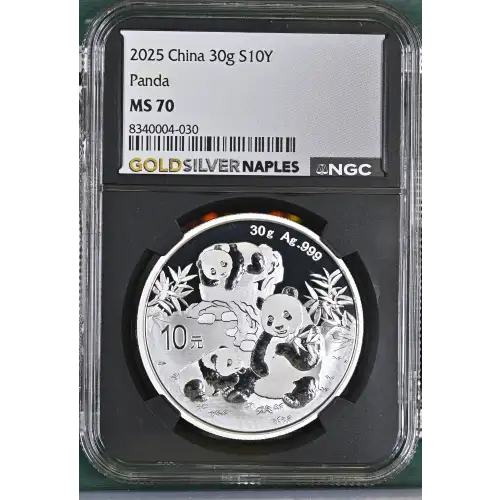 2025 Panda (2)