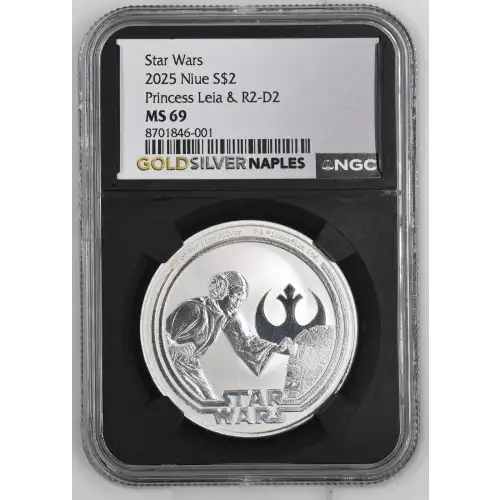 2025 Princess Leia & R2-D2 Star Wars (2)